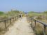 Path towards the beach : property For Sale image